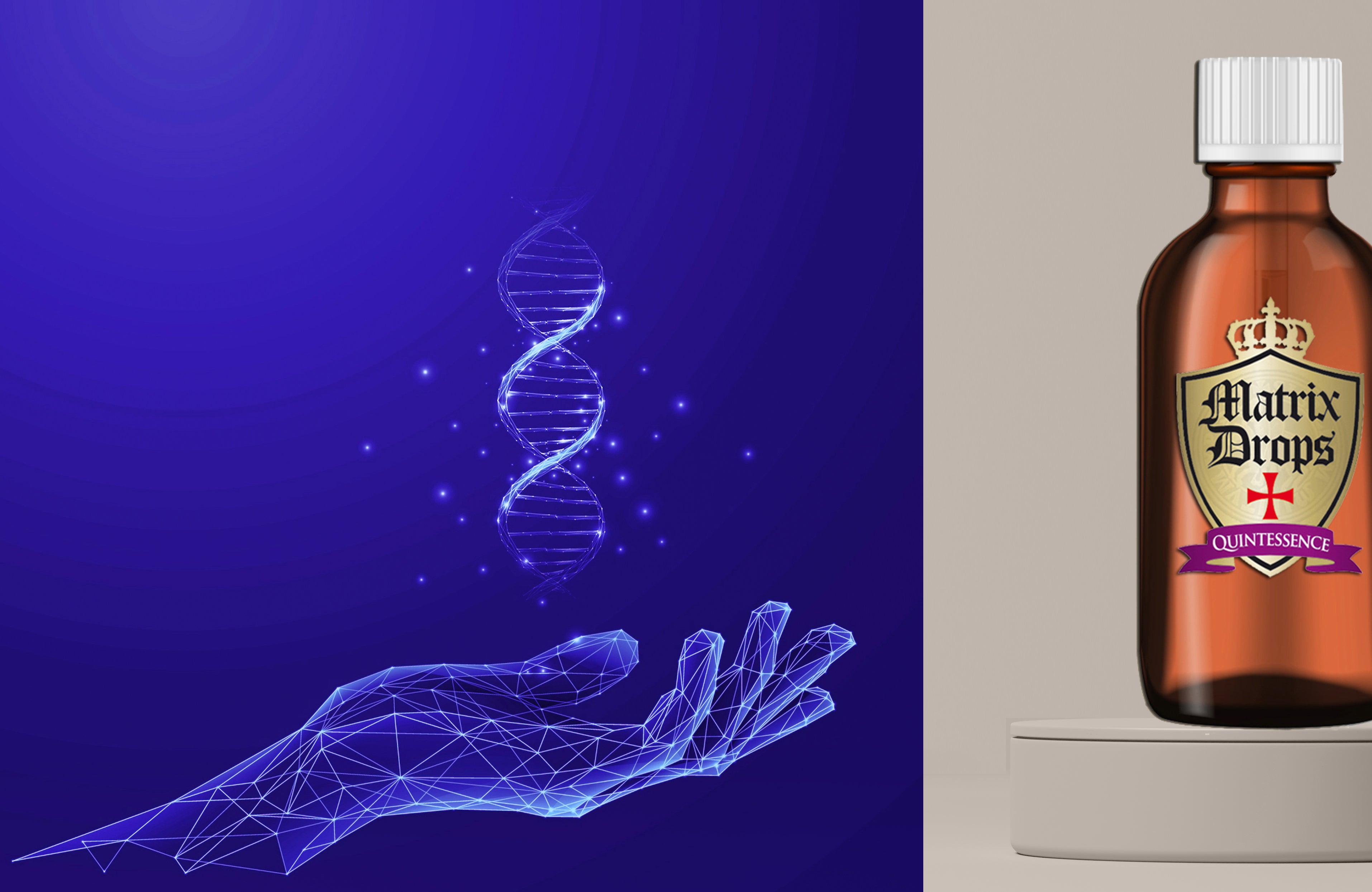 Matrix Drops - Cellular aging support drops