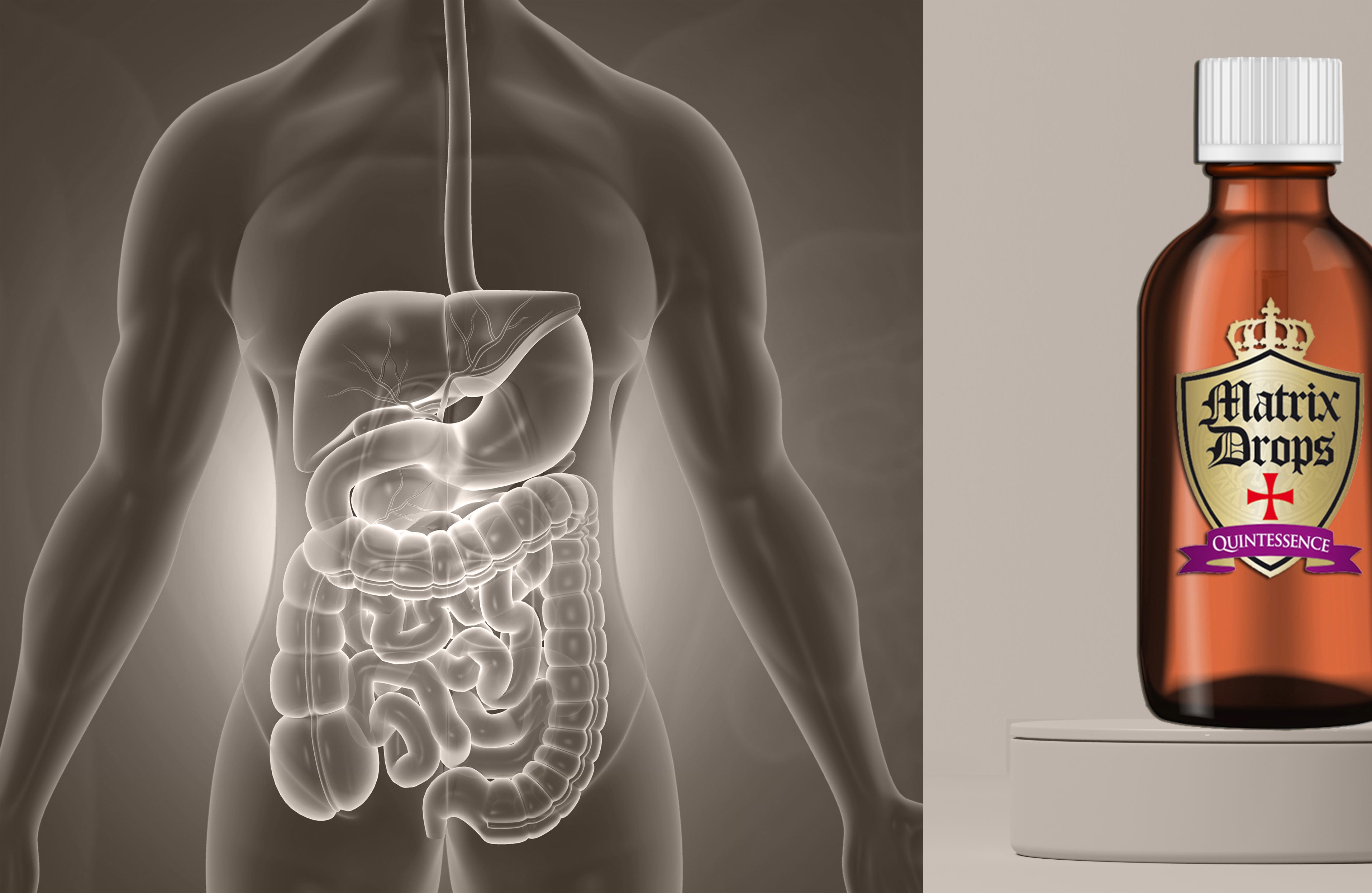 Matrix Drops - Organ support drops